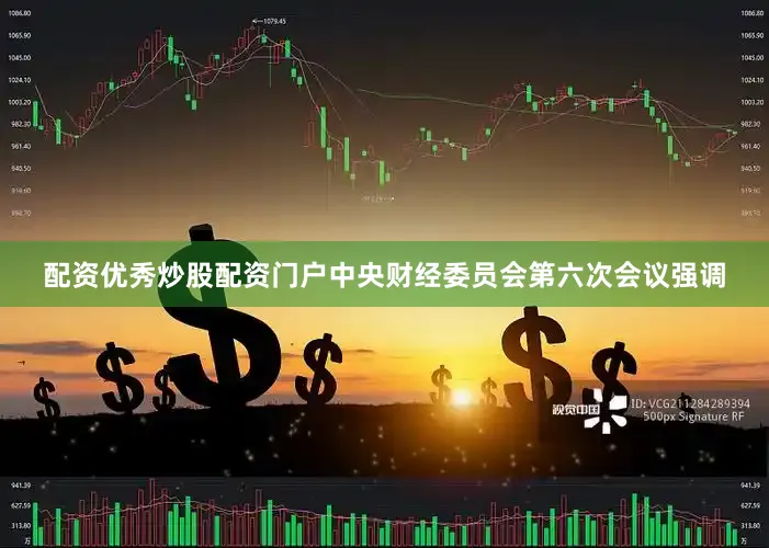配资优秀炒股配资门户中央财经委员会第六次会议强调