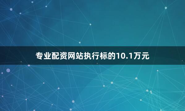 专业配资网站执行标的10.1万元